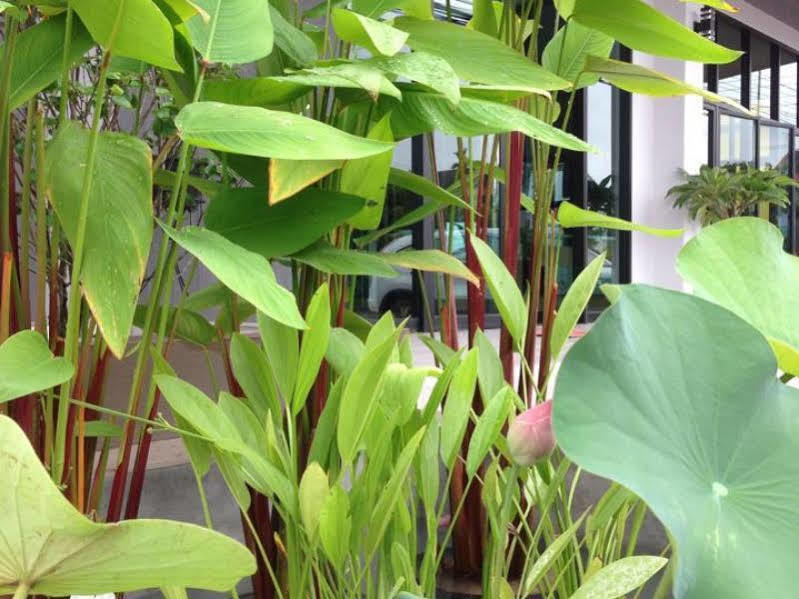 Bird Day Boutique Hotel Mukdahan Esterno foto